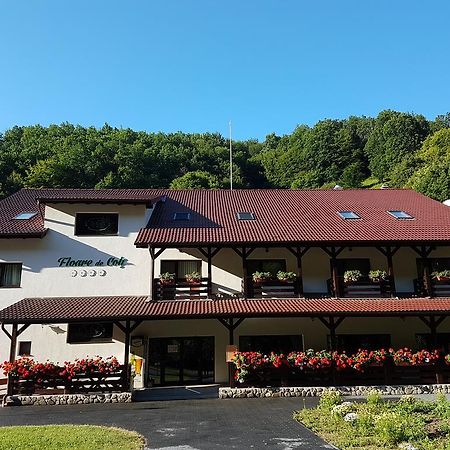 Pensiunea Floare De Colt Poiana Galdei Bagian luar foto