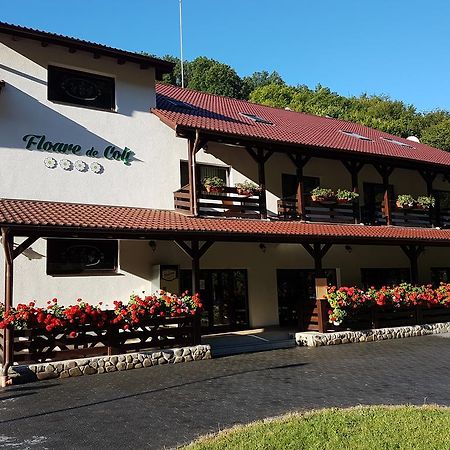 Pensiunea Floare De Colt Poiana Galdei Bagian luar foto